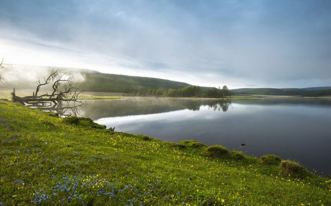 Mongolia