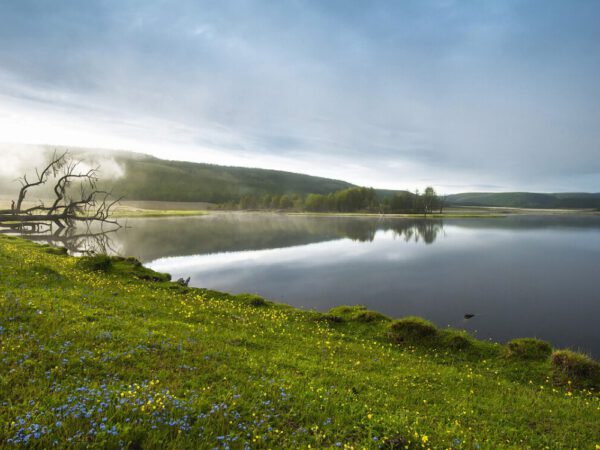 Mongolia